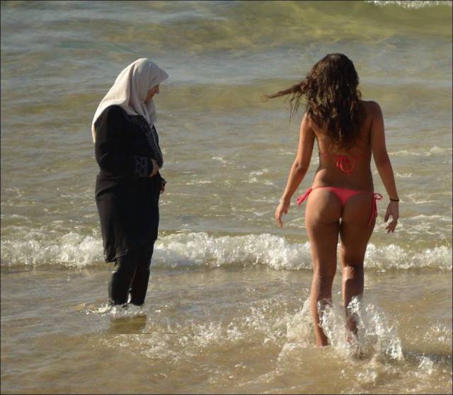 grownup corner 54 pics 20 gifs 33.html - 54 HD GIF | Premium Gallery 2016