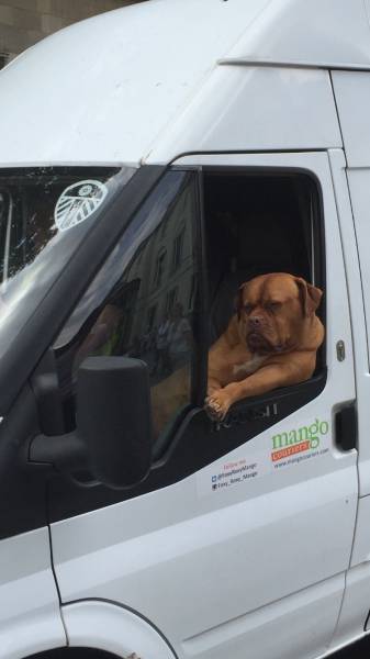 morning picdump 50 pics 14.html - 50 HD Photos | Premium Gallery 2016