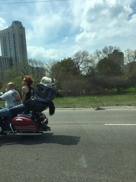 morning picdump 50 pics 14.html - 50 HD Photos | Premium Gallery 2016