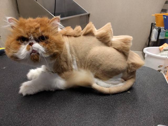 morning picdump 50 pics 14.html - 50 HD Photos | Premium Gallery 2016