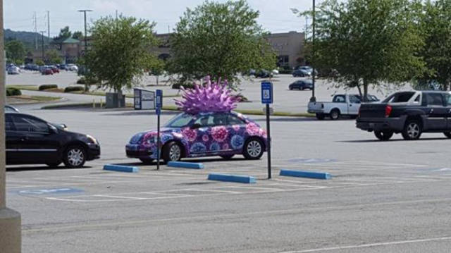 These Cars Will Make You All Confused