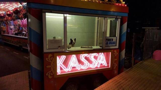 daily picdump 99 pics 9.html - 99 HD Photos | Premium Gallery 2016