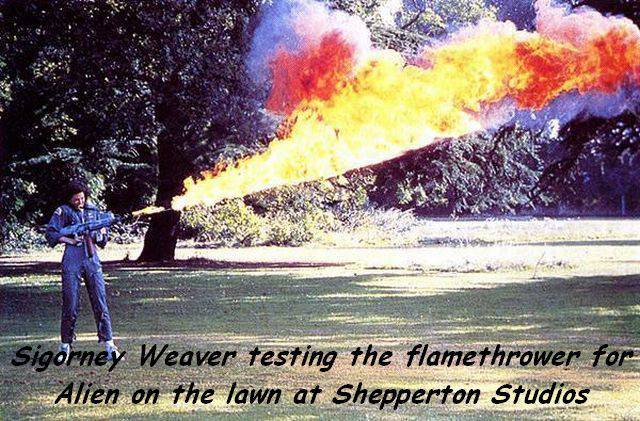 daily picdump 99 pics 9.html - 99 HD Photos | Premium Gallery 2016