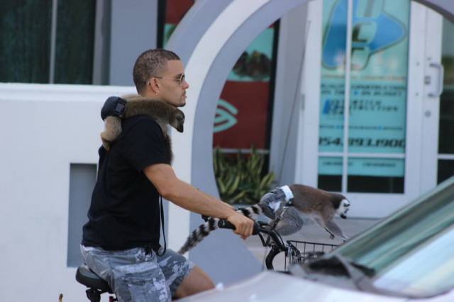 daily picdump 99 pics 9.html - 99 HD Photos | Premium Gallery 2016