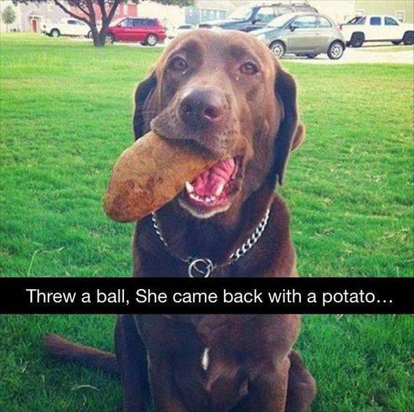 daily picdump 99 pics 9.html - 99 HD Photos | Premium Gallery 2016