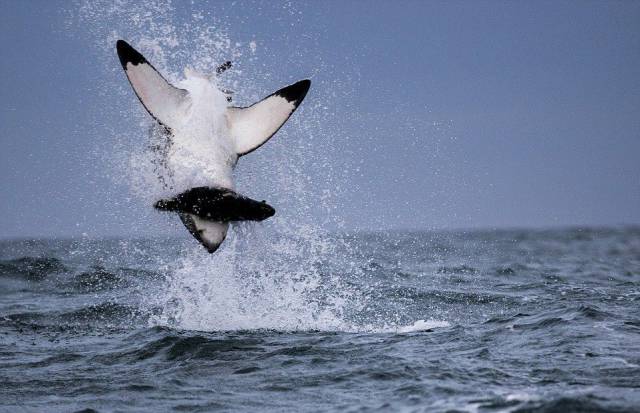 daily picdump 99 pics 9.html - 99 HD Photos | Premium Gallery 2016