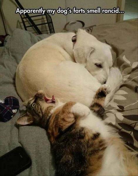 daily picdump 99 pics 9.html - 99 HD Photos | Premium Gallery 2016