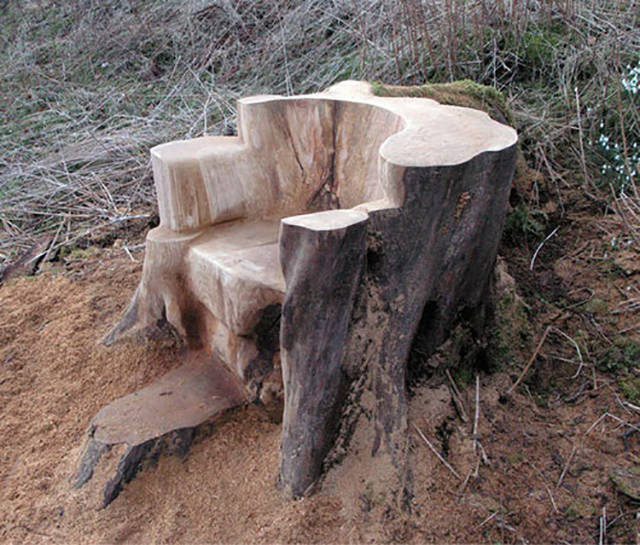 morning picdump 53 pics 21.html - 53 HD Photos | Premium Gallery 2016