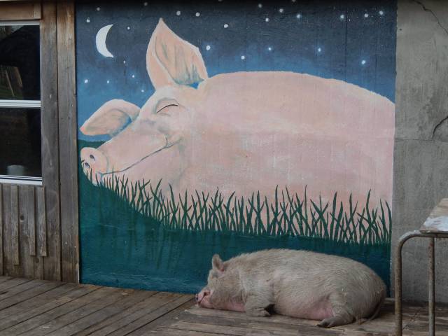 morning picdump 53 pics 21.html - 53 HD Photos | Premium Gallery 2016