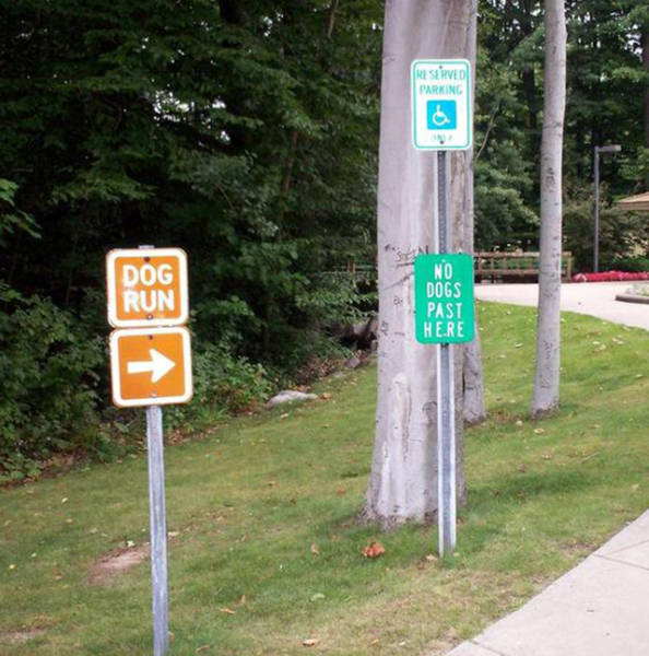 morning picdump 53 pics 21.html - 53 HD Photos | Premium Gallery 2016