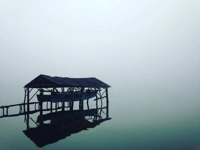 morning picdump 53 pics 21.html - 53 HD Photos | Premium Gallery 2016