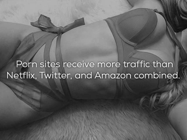 Some Interesting Porn Facts