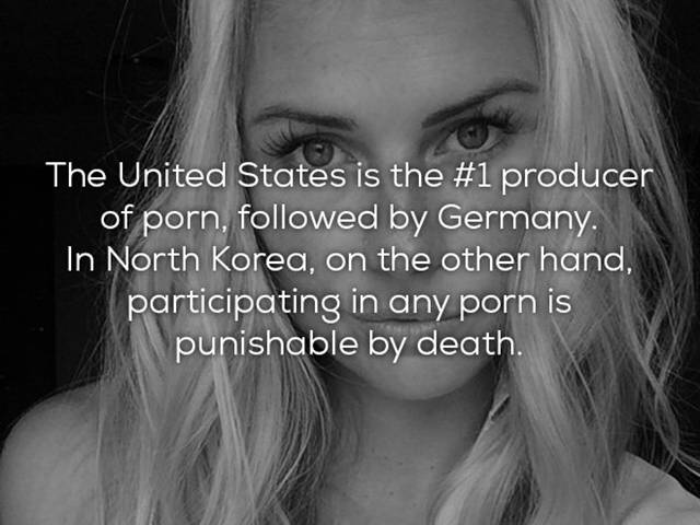Some Interesting Porn Facts