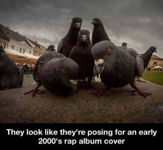 daily picdump 101 pics 46.html - 101 HD Photos | Premium Gallery 2016