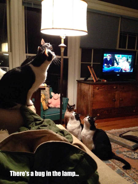 morning picdump 50 pics 8.html - 50 HD Photos | Premium Gallery 2016