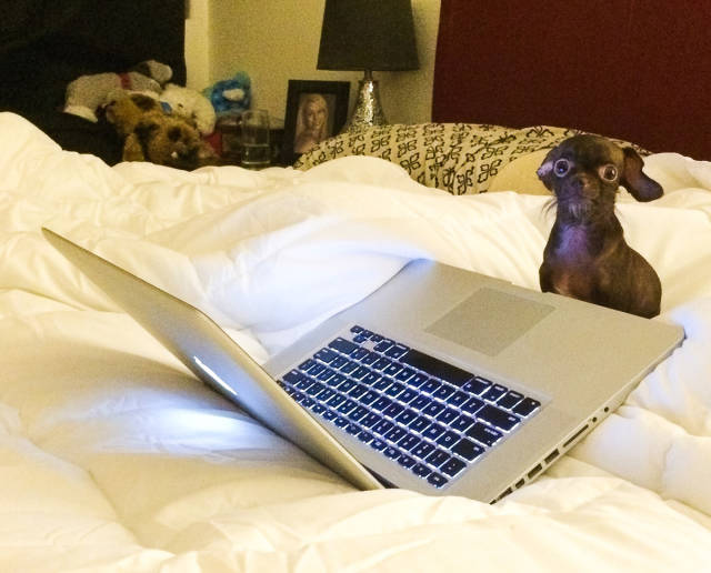 morning picdump 50 pics 8.html - 50 HD Photos | Premium Gallery 2016