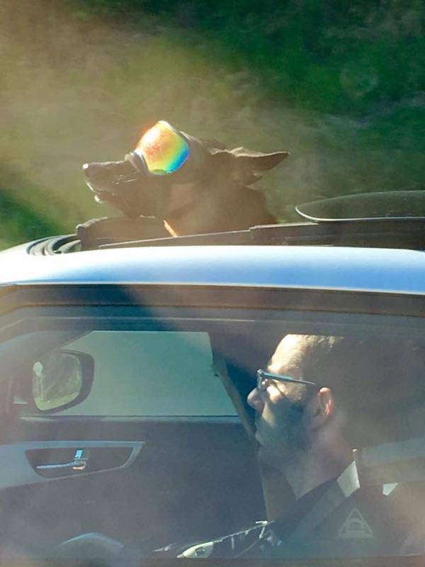 morning picdump 50 pics 8.html - 50 HD Photos | Premium Gallery 2016