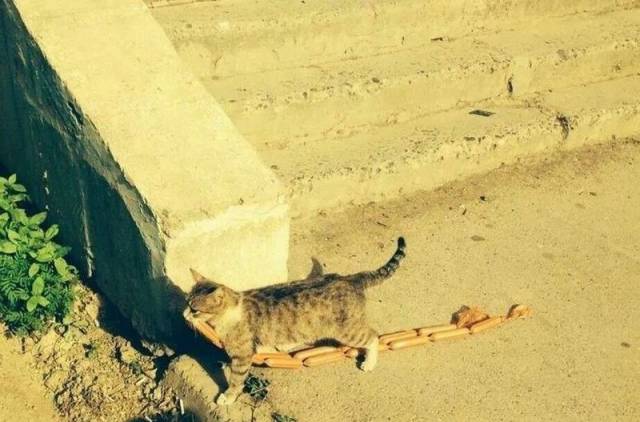 daily picdump 108 pics 39.html - 108 HD Photos | Premium Gallery 2016