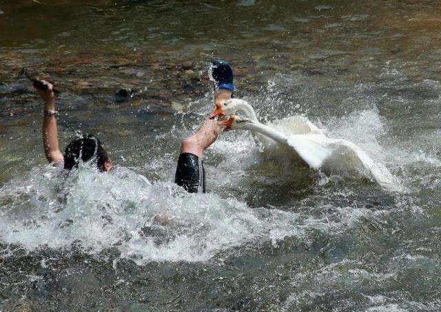 daily picdump 108 pics 39.html - 108 HD Photos | Premium Gallery 2016