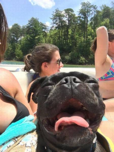 daily picdump 108 pics 39.html - 108 HD Photos | Premium Gallery 2016