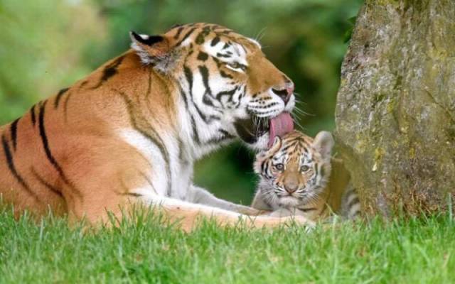 daily picdump 108 pics 39.html - 108 HD Photos | Premium Gallery 2016