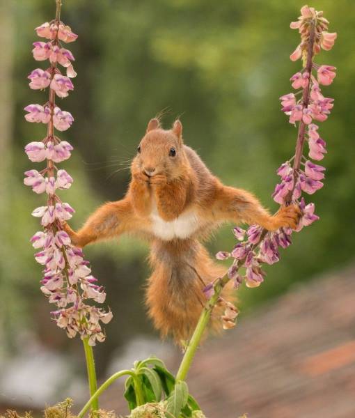 daily picdump 108 pics 39.html - 108 HD Photos | Premium Gallery 2016