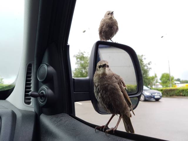 daily picdump 108 pics 39.html - 108 HD Photos | Premium Gallery 2016