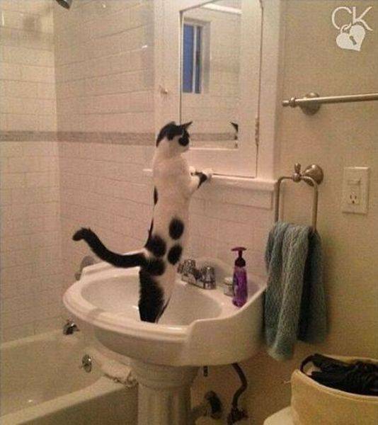 daily picdump 108 pics 39.html - 108 HD Photos | Premium Gallery 2016