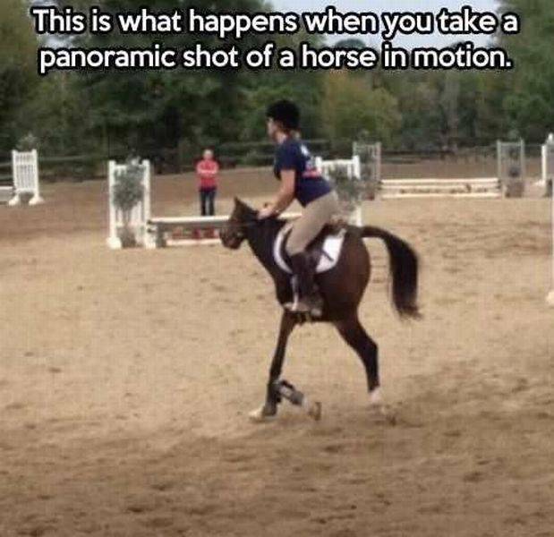 daily picdump 108 pics 39.html - 108 HD Photos | Premium Gallery 2016