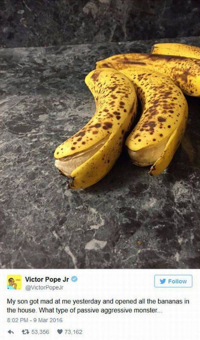 daily picdump 108 pics 39.html - 108 HD Photos | Premium Gallery 2016