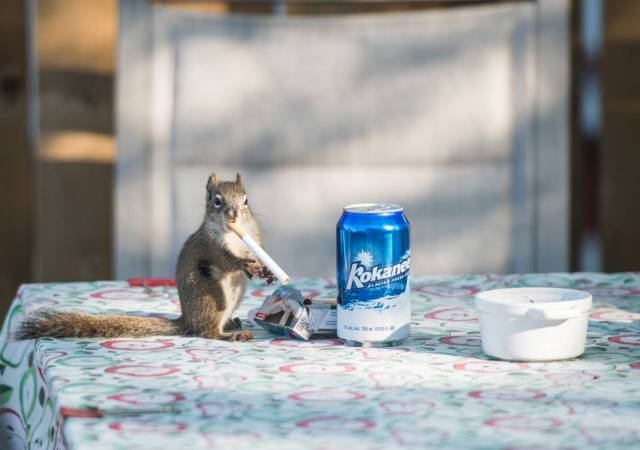 morning picdump 52 pics 22.html - 52 HD Photos | Premium Gallery 2016