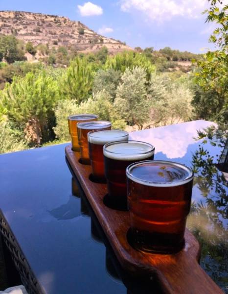 Daily Picdump [WEEKEND EDITION]