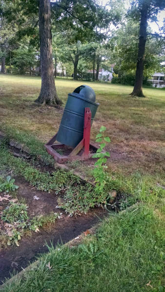 daily picdump weekend edition 54 pics 3.html - 54 HD Photos | Premium Gallery 2016