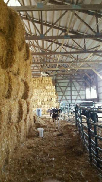 daily picdump weekend edition 54 pics 3.html - 54 HD Photos | Premium Gallery 2016