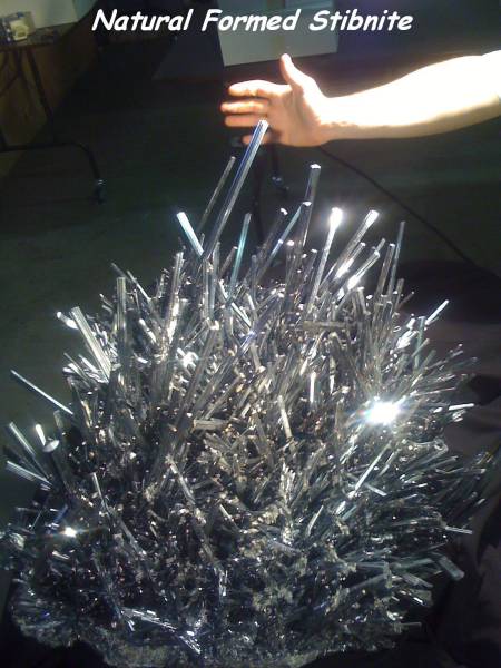 daily picdump 98 pics 38.html - 98 HD Photos | Premium Gallery 2016