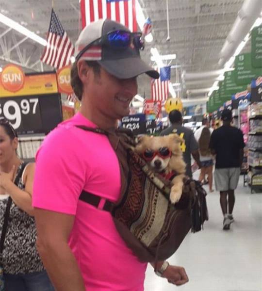 daily picdump 98 pics 38.html - 98 HD Photos | Premium Gallery 2016