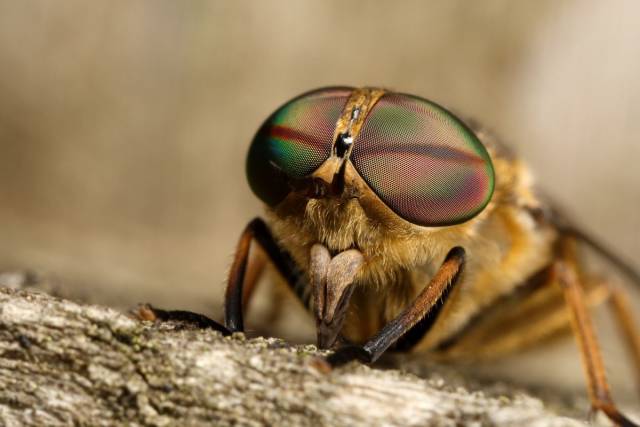 daily picdump 98 pics 38.html - 98 HD Photos | Premium Gallery 2016