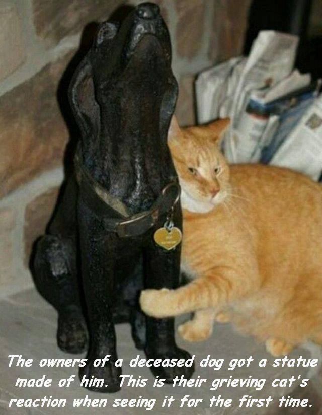 daily picdump 98 pics 38.html - 98 HD Photos | Premium Gallery 2016