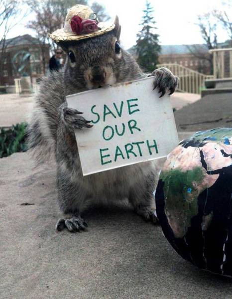 daily picdump 103 pics 38.html - 103 HD Photos | Premium Gallery 2016