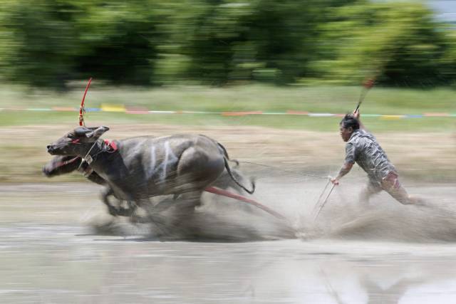 daily picdump 103 pics 38.html - 103 HD Photos | Premium Gallery 2016