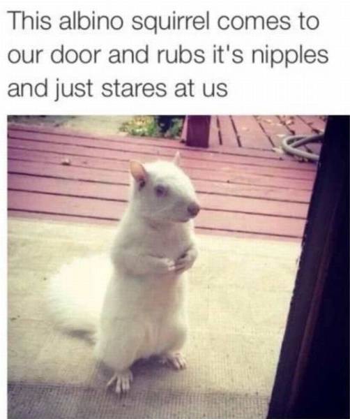 daily picdump 103 pics 38.html - 103 HD Photos | Premium Gallery 2016