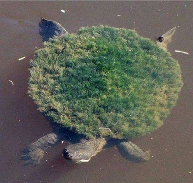 morning picdump 50 pics 14.html - 50 HD Photos | Premium Gallery 2016