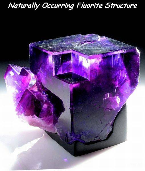 daily picdump 110 pics 42.html - 110 HD Photos | Premium Gallery 2016