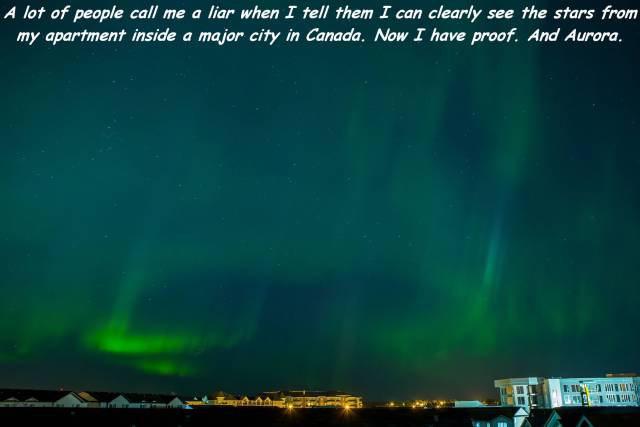 daily picdump 110 pics 42.html - 110 HD Photos | Premium Gallery 2016