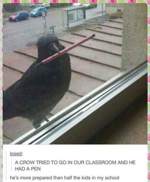 daily picdump 110 pics 42.html - 110 HD Photos | Premium Gallery 2016