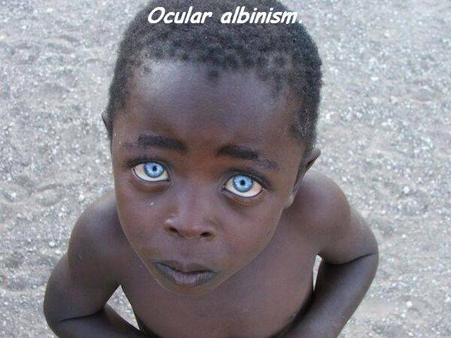 daily picdump 110 pics 42.html - 110 HD Photos | Premium Gallery 2016