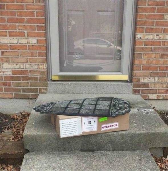 daily picdump 110 pics 42.html - 110 HD Photos | Premium Gallery 2016