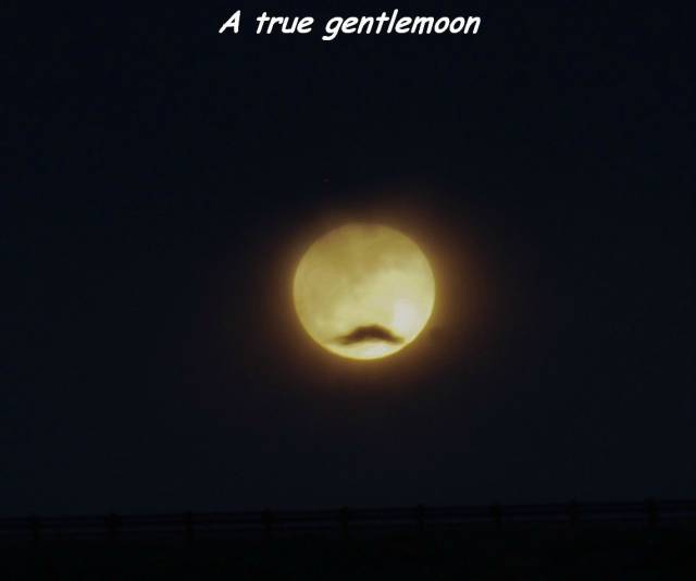 daily picdump 110 pics 42.html - 110 HD Photos | Premium Gallery 2016