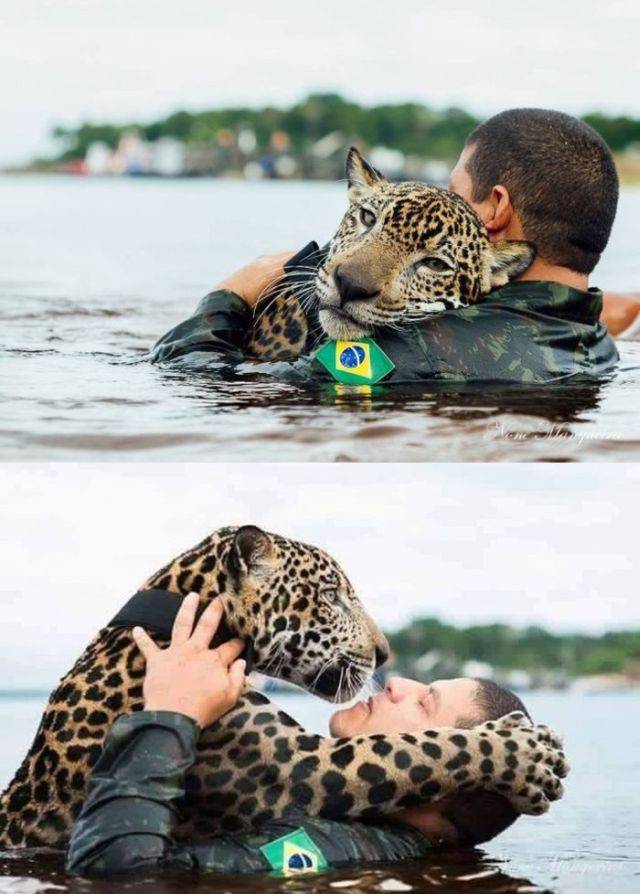 daily picdump 110 pics 42.html - 110 HD Photos | Premium Gallery 2016