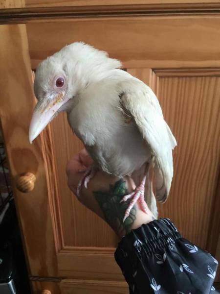 daily picdump 94 pics 2.html - 94 HD Photos | Premium Gallery 2016